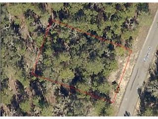 Undetermined Ocklawaha FL 32179 O6141746 image1