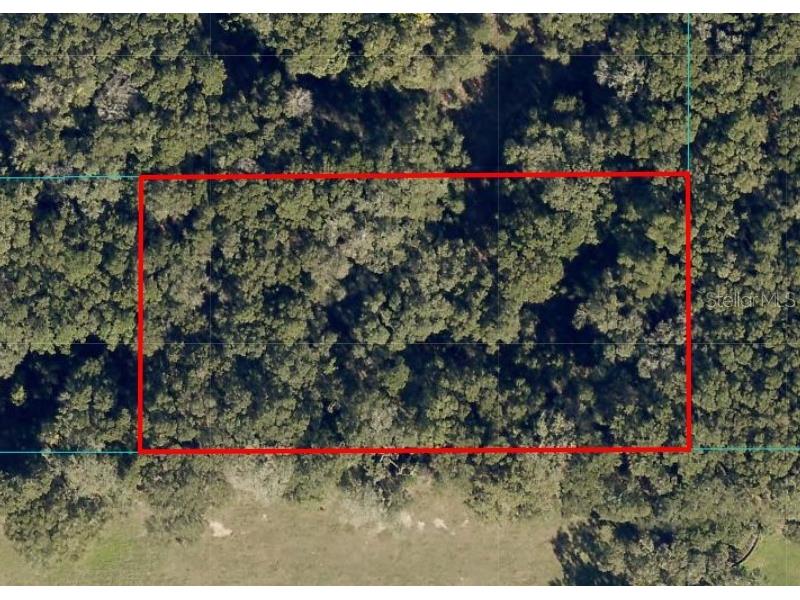 Undetermined Ocala FL 34480 S5131664 image1