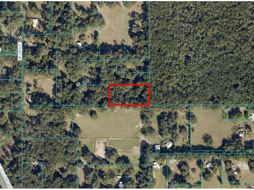 Undetermined Ocala FL 34480 S5131664 image2