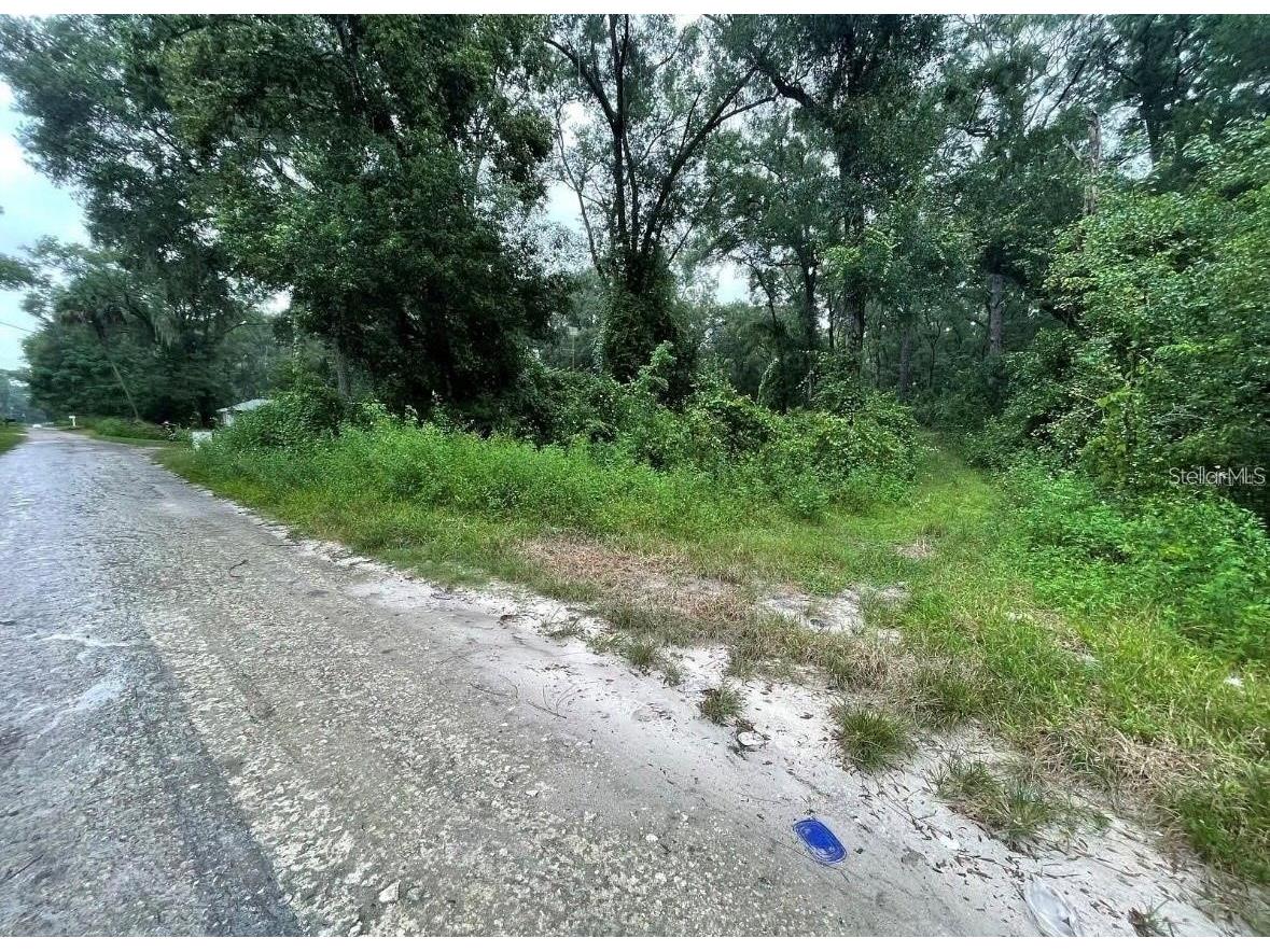 Undetermined Summerfield FL 34491 S5152114 image2
