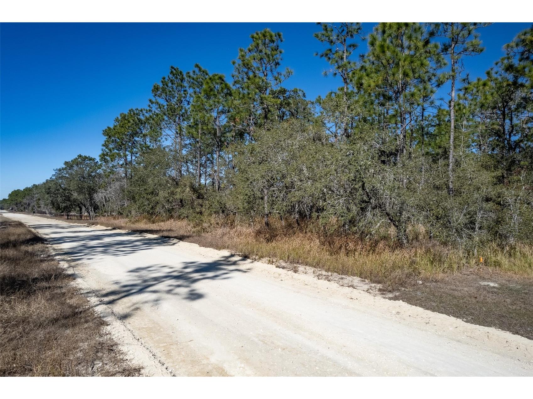Undetermined Terrace Dunnellon FL 34432 L4960155 image8