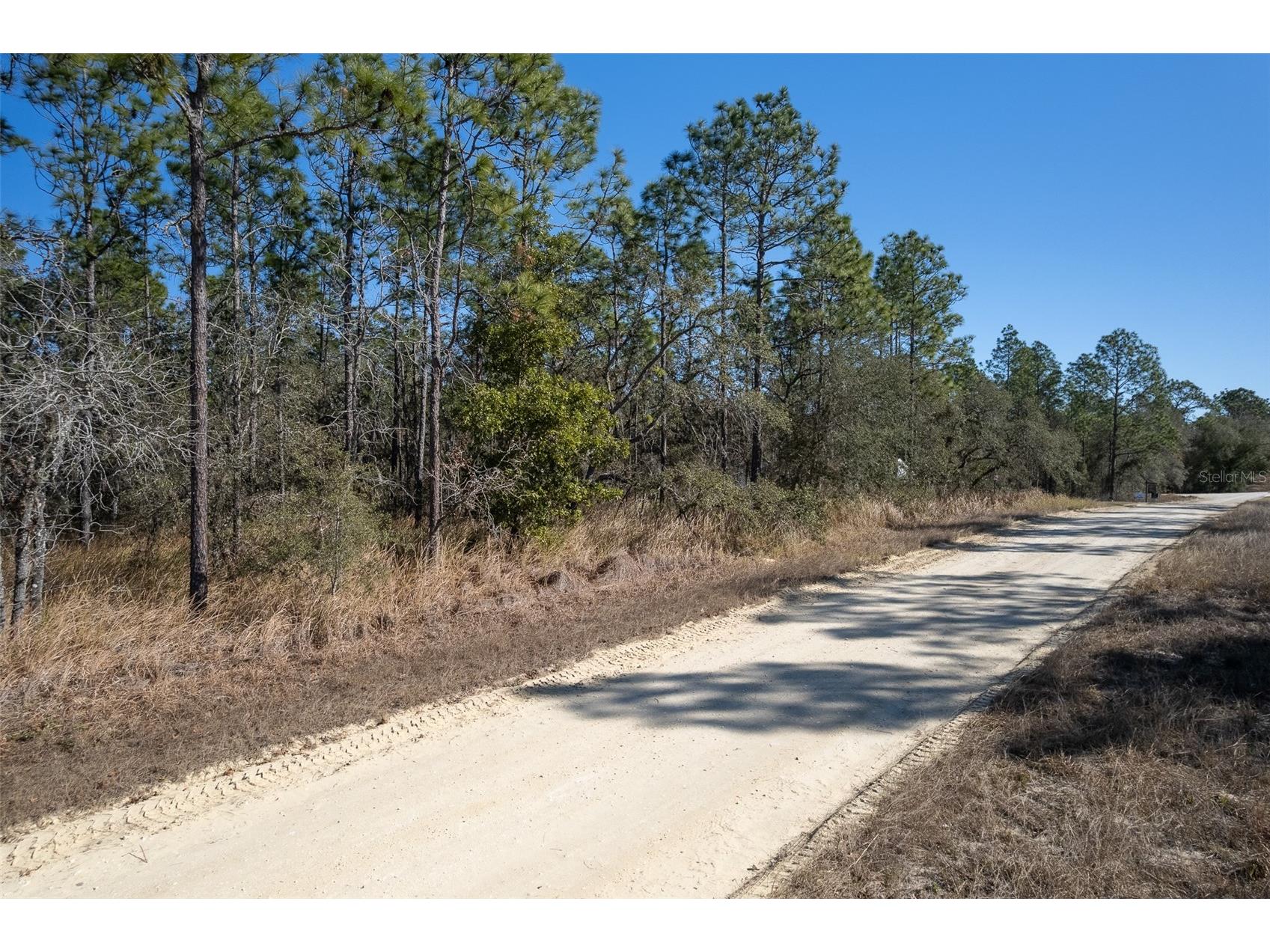 Undetermined Terrace Dunnellon FL 34432 L4960155 image9