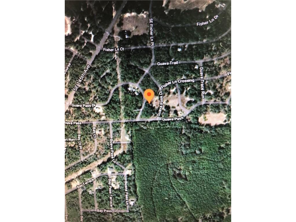 Undetermined Weirsdale FL 32195 O5896481 image1