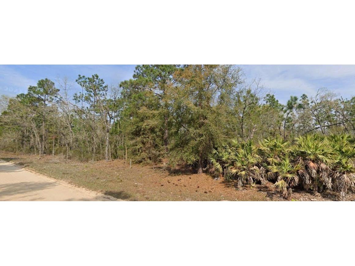 Union Avenue Interlachen FL 32148 O6211994 image1