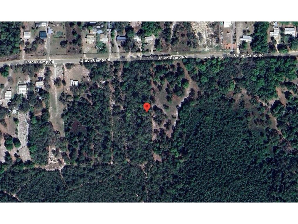 Union Camp Road Crescent City FL 32112 OK224261 image1