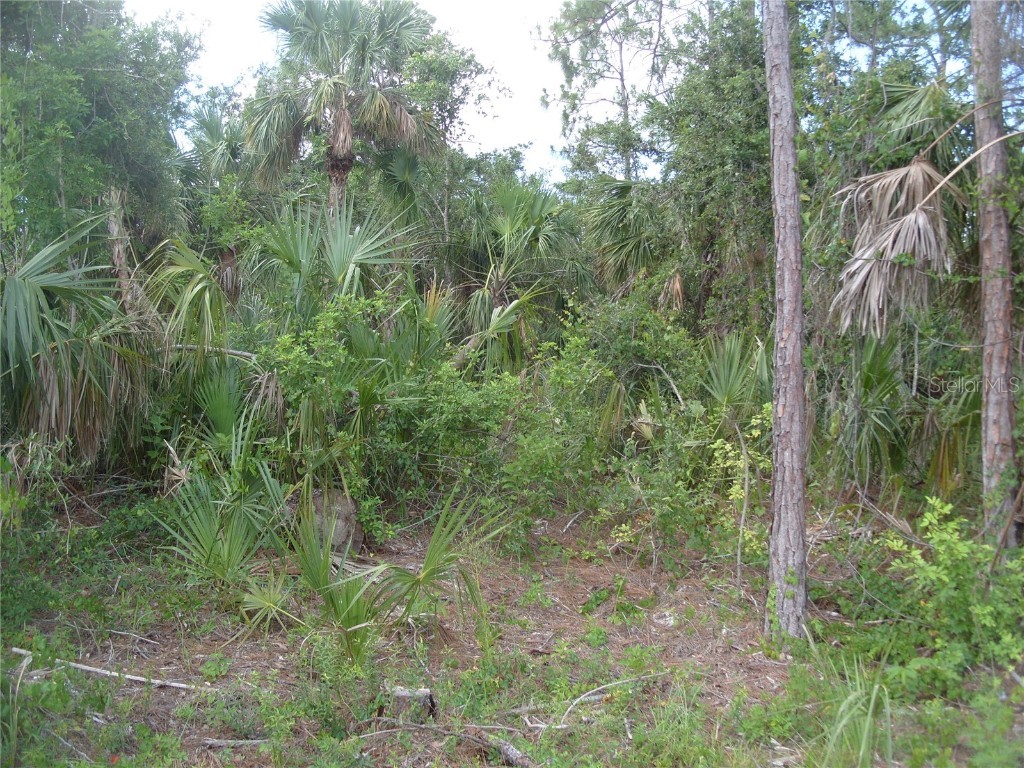 Union Lane North Port FL 34288 C7476710 image1