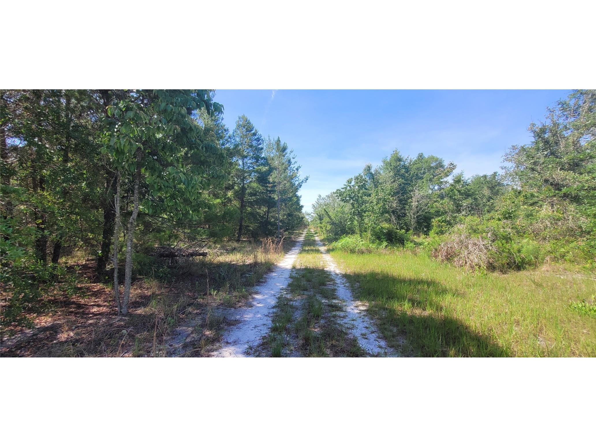 Union Way Lee FL 32059 A4695406 image10