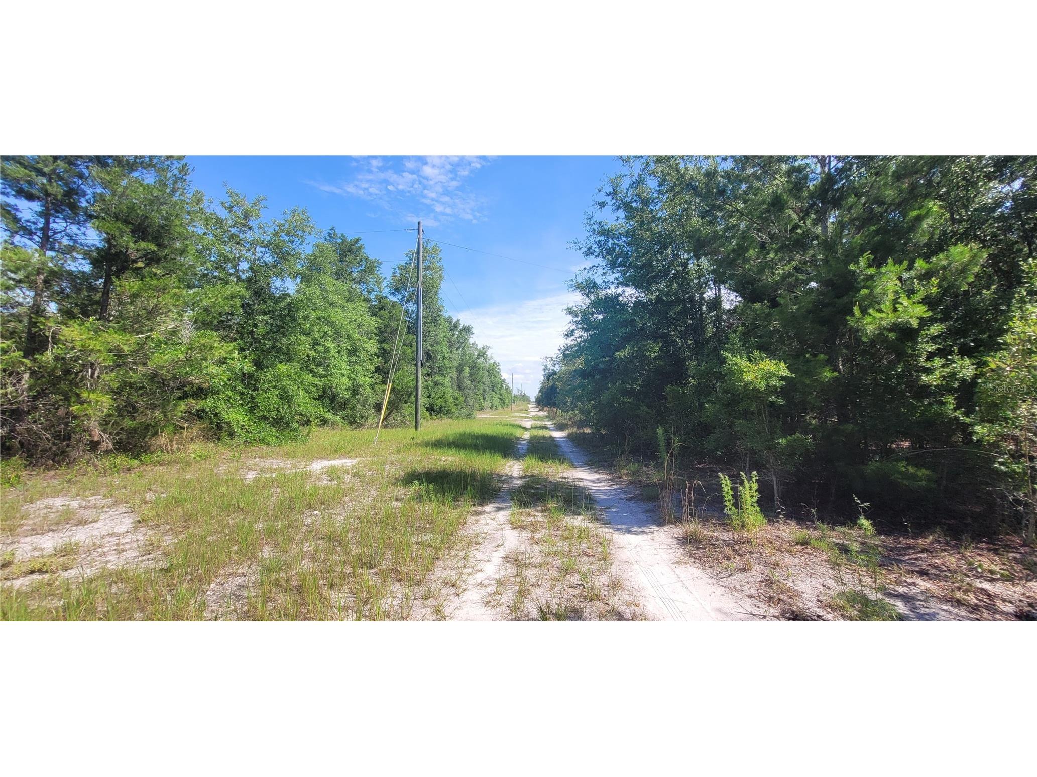 Union Way Lee FL 32059 A4695406 image11