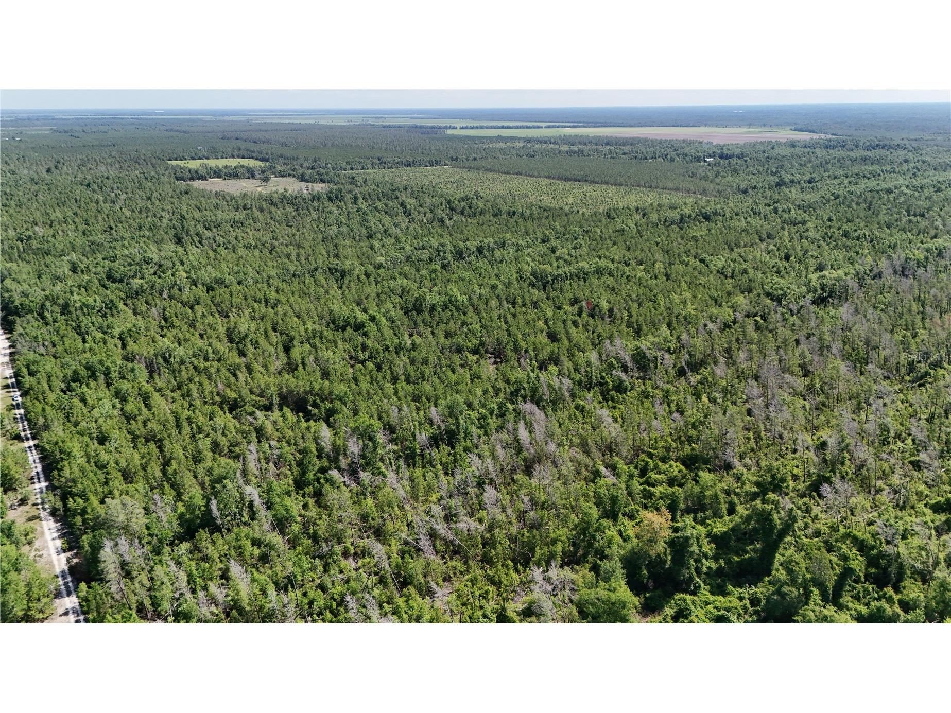 Union Way Lee FL 32059 A4695406 image12