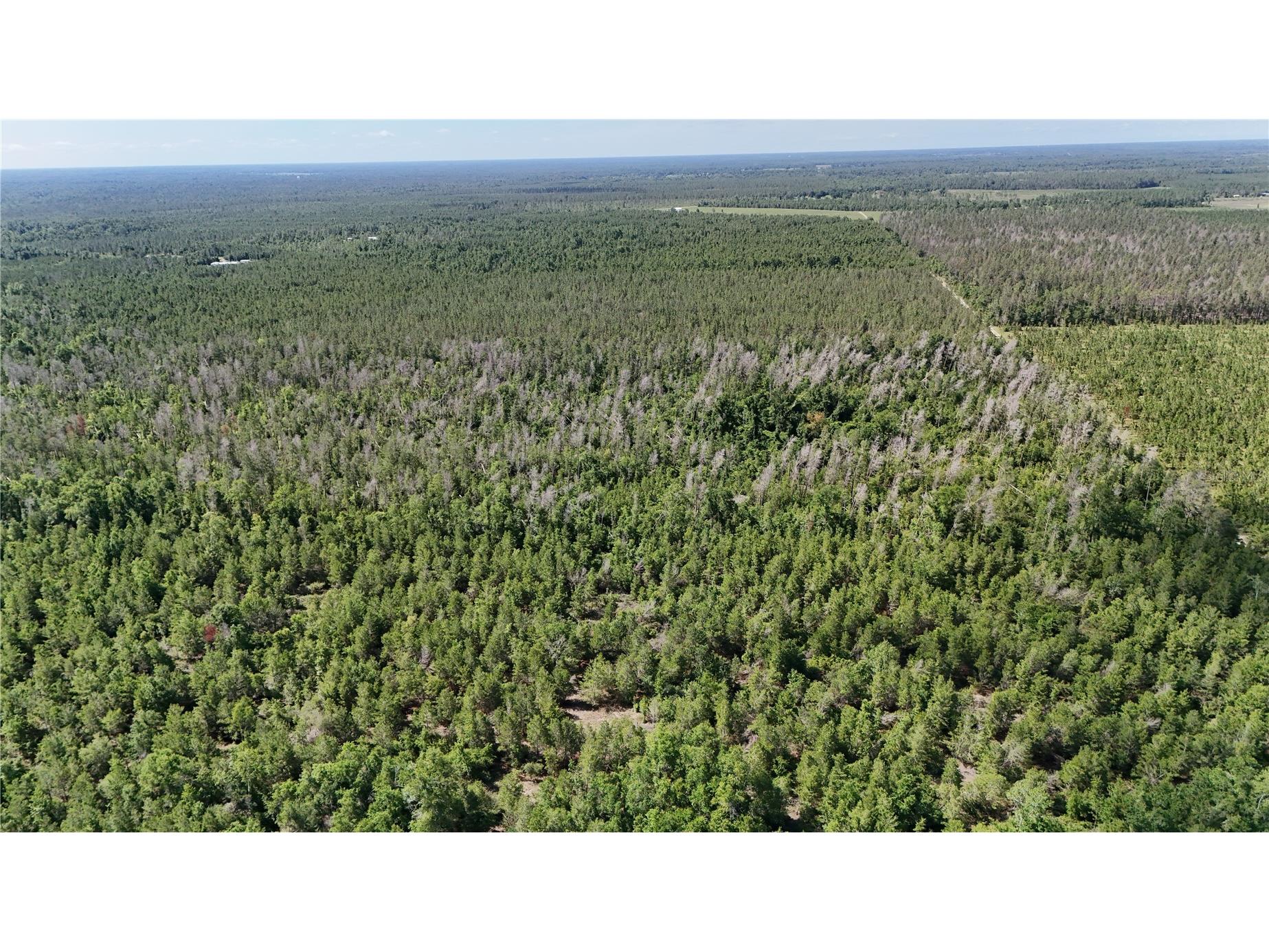 Union Way Lee FL 32059 A4695406 image13