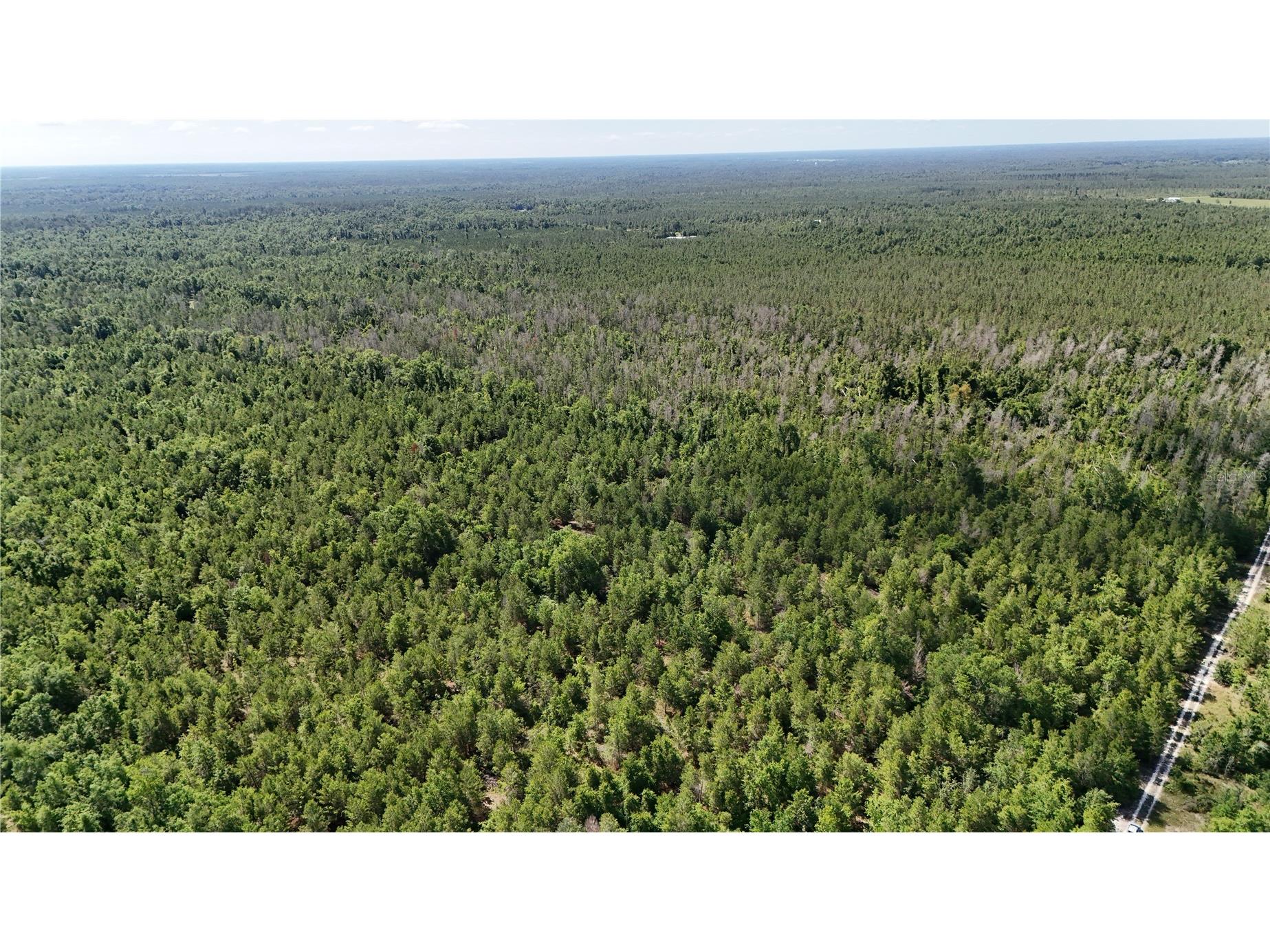 Union Way Lee FL 32059 A4695406 image14