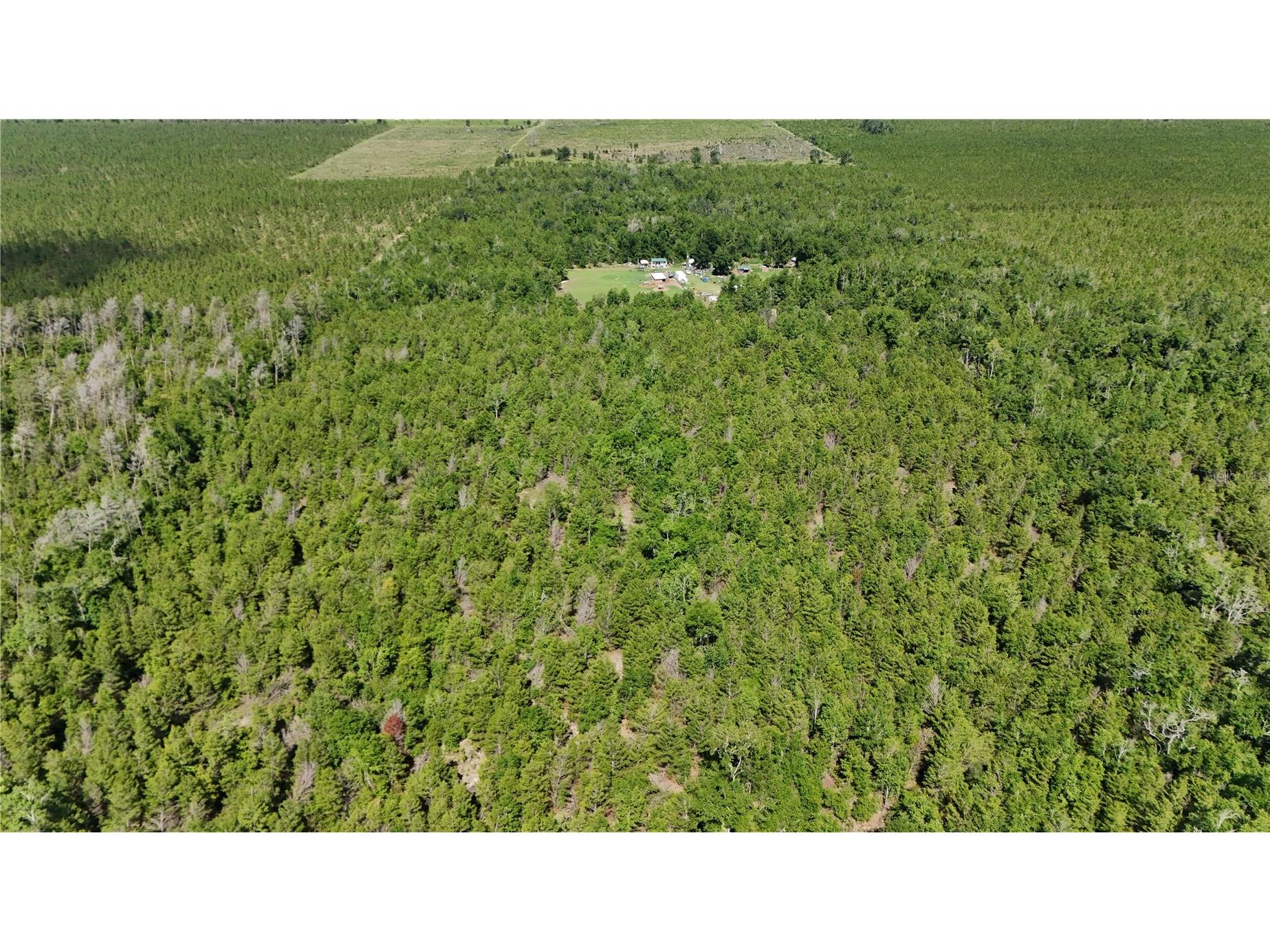 Union Way Lee FL 32059 A4695406 image15
