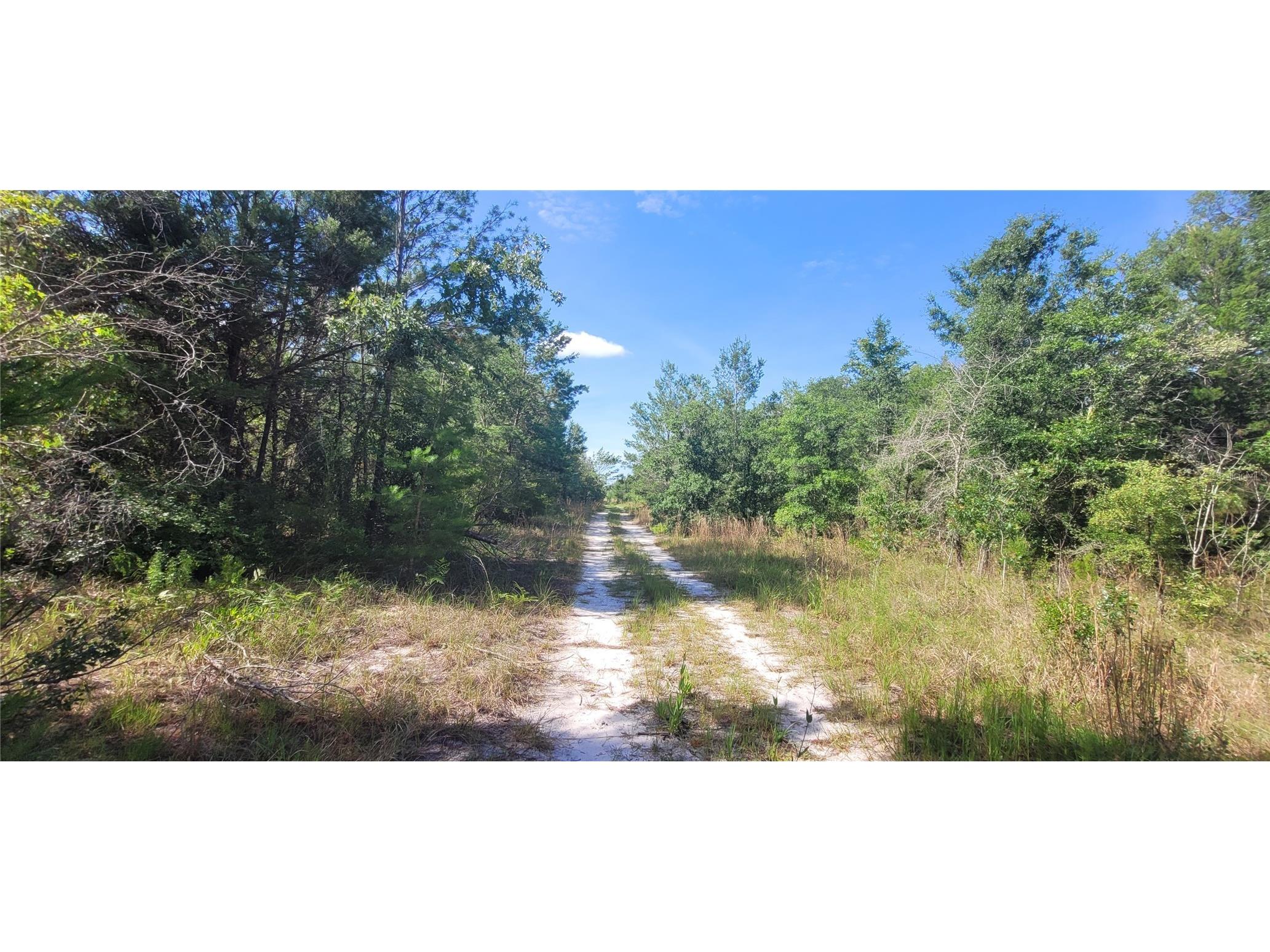 Union Way Lee FL 32059 A4695406 image4