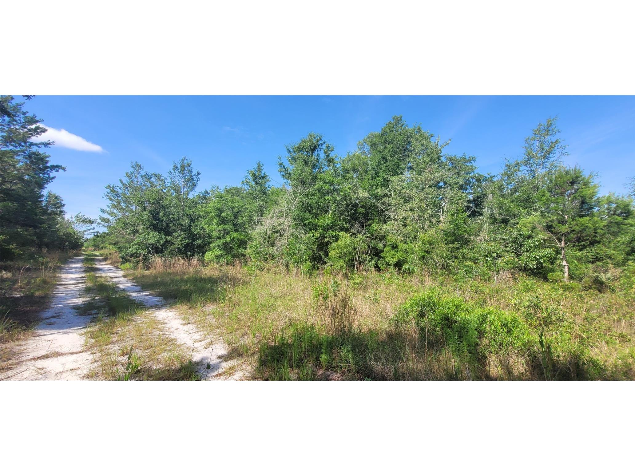 Union Way Lee FL 32059 A4695406 image5