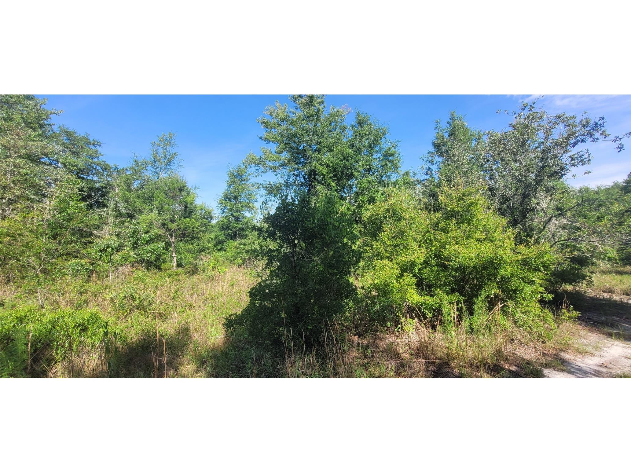 Union Way Lee FL 32059 A4695406 image6