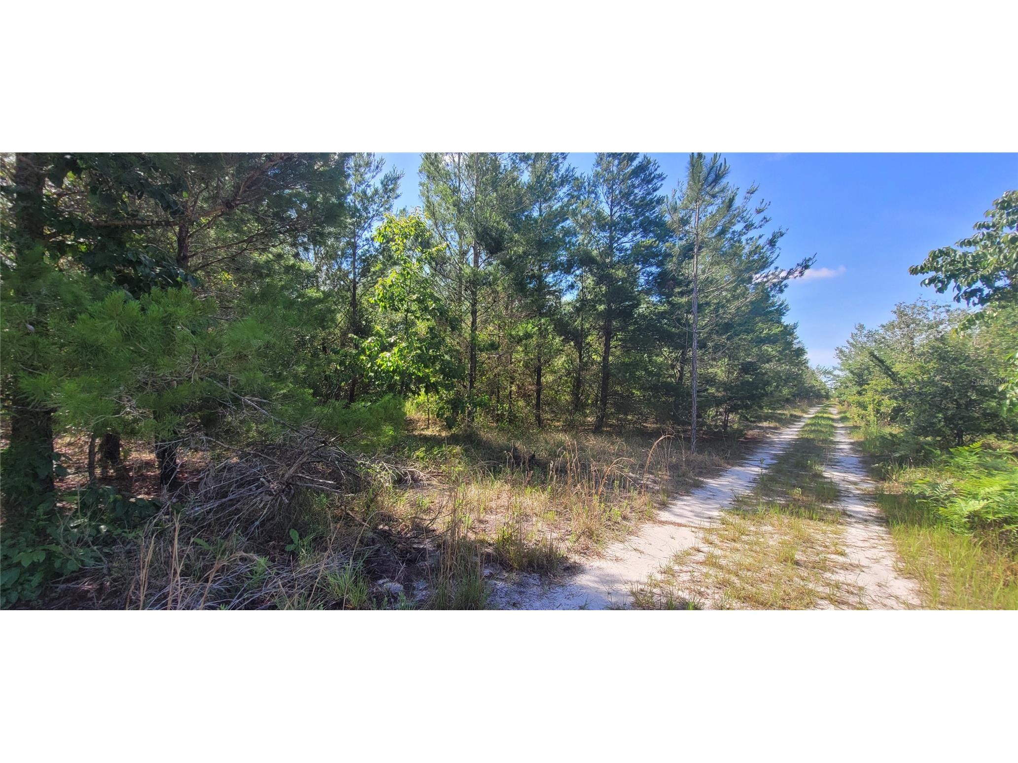 Union Way Lee FL 32059 A4695406 image7