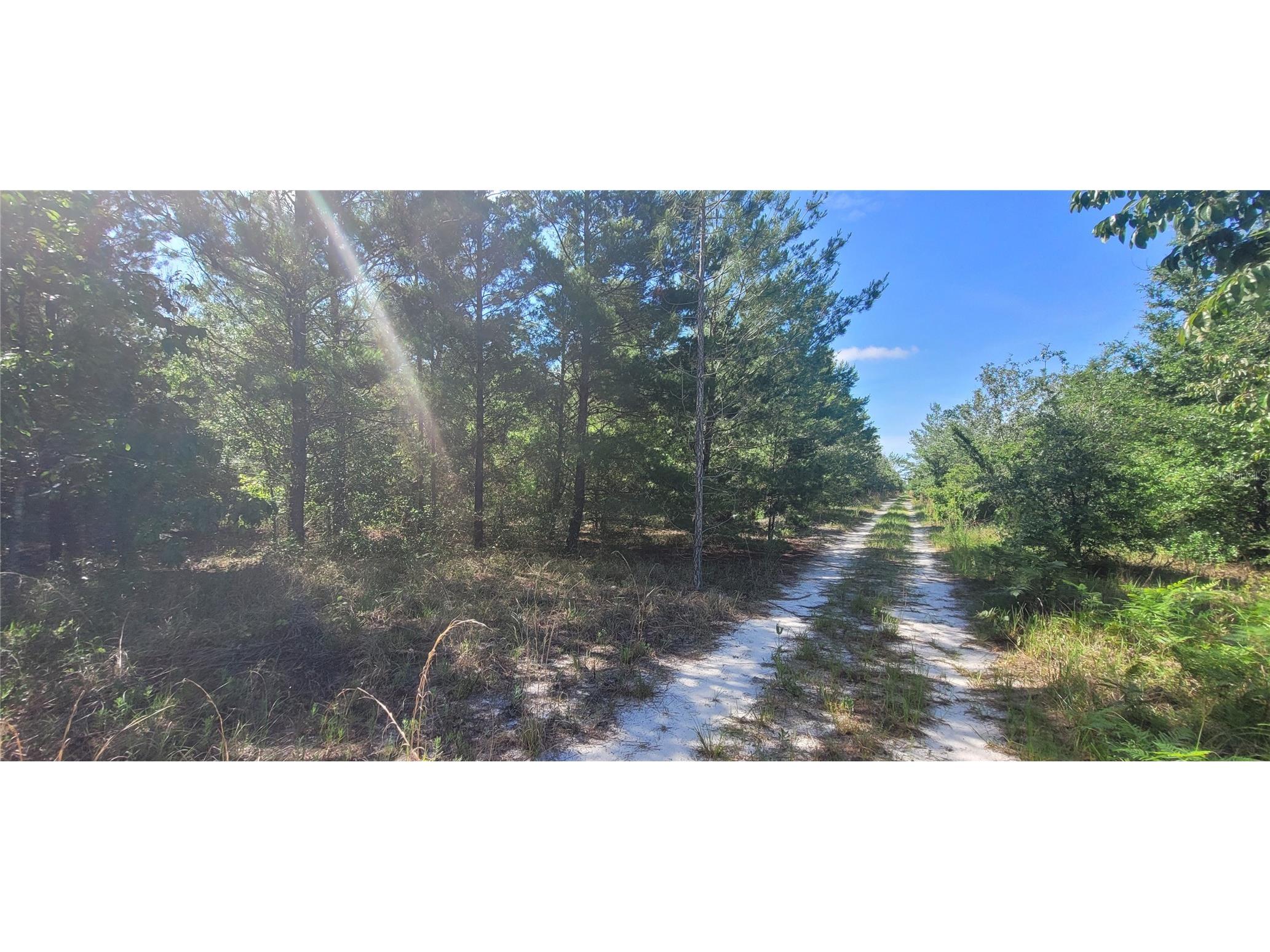 Union Way Lee FL 32059 A4695406 image8
