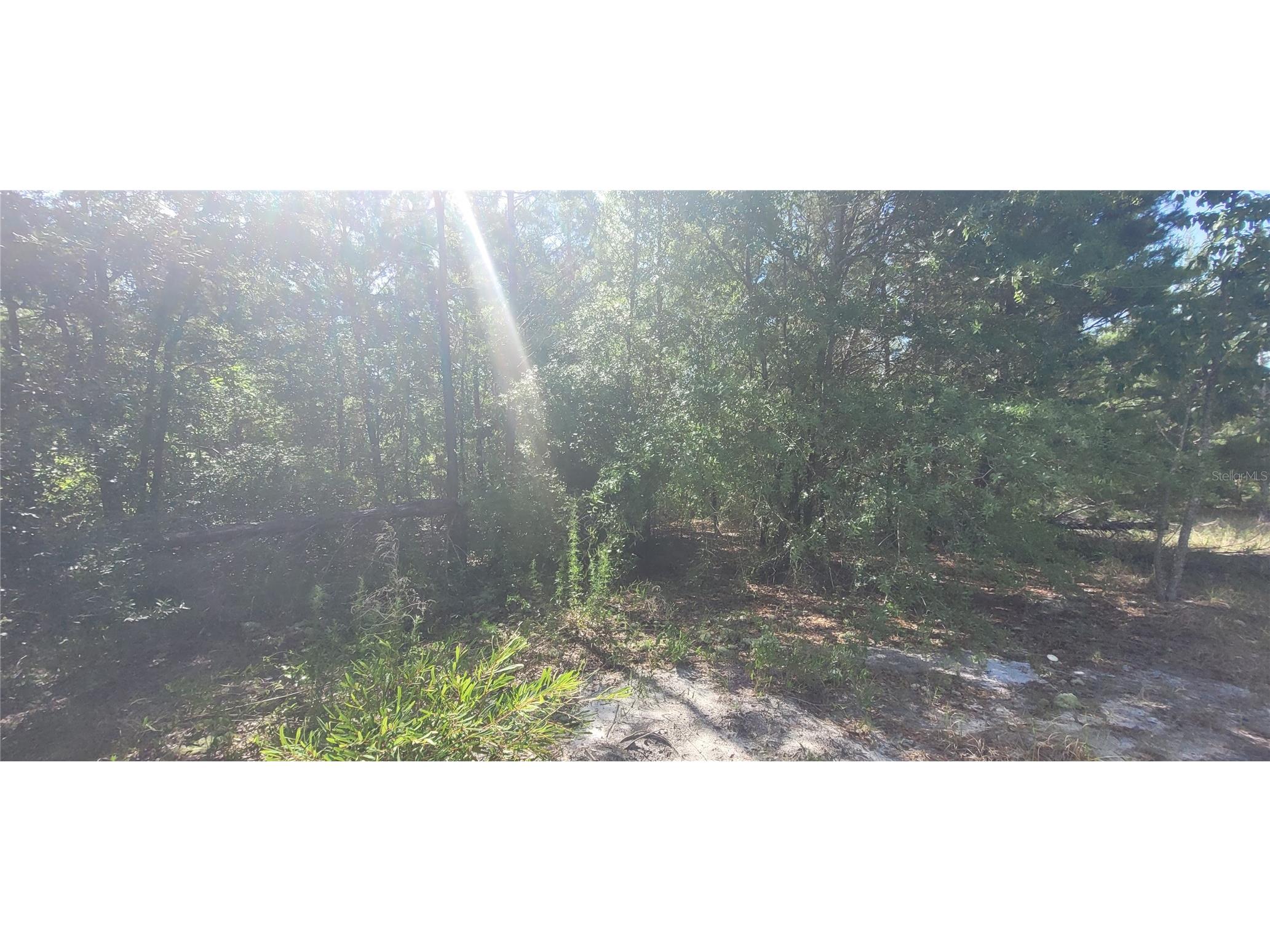 Union Way Lee FL 32059 A4695406 image9