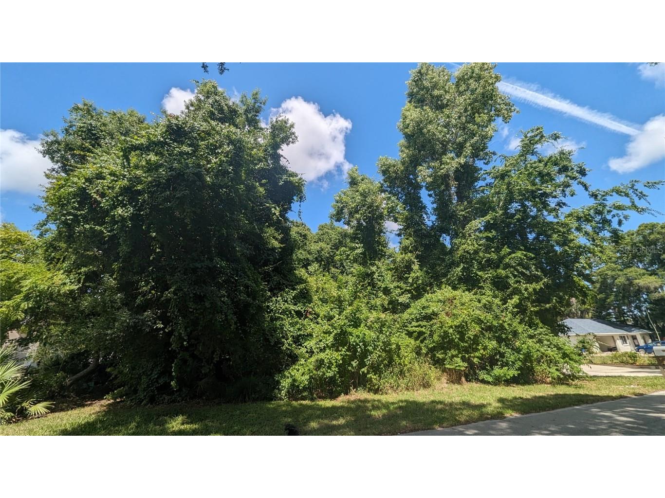 Unity Tree Drive Edgewater FL 32141 NS1081718 image1