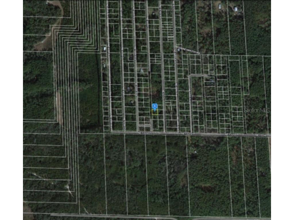 Unnassigned Citra FL 32113 A4592887 image1