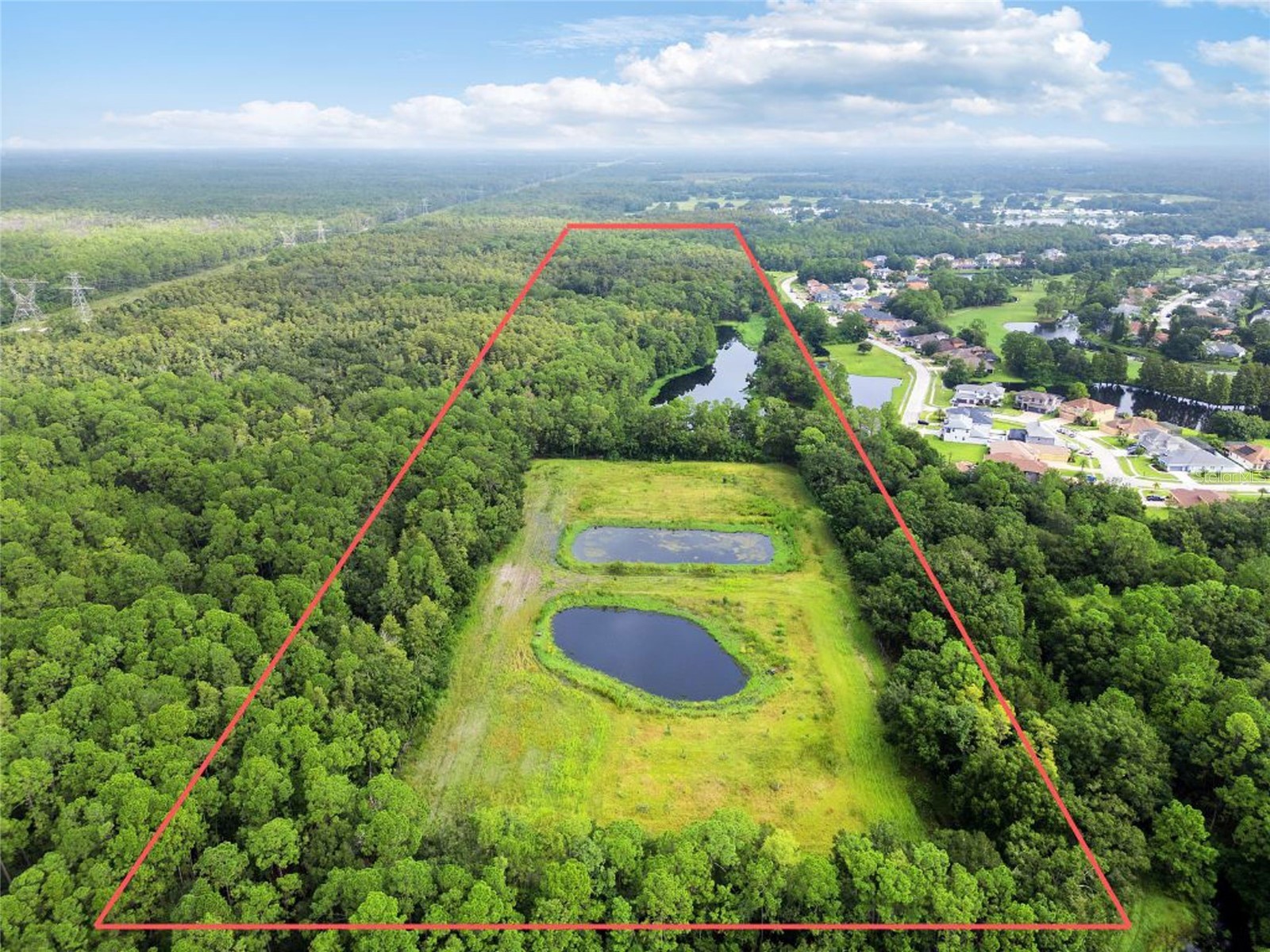 Unplatted Odessa FL 33556 TB8502915 image2
