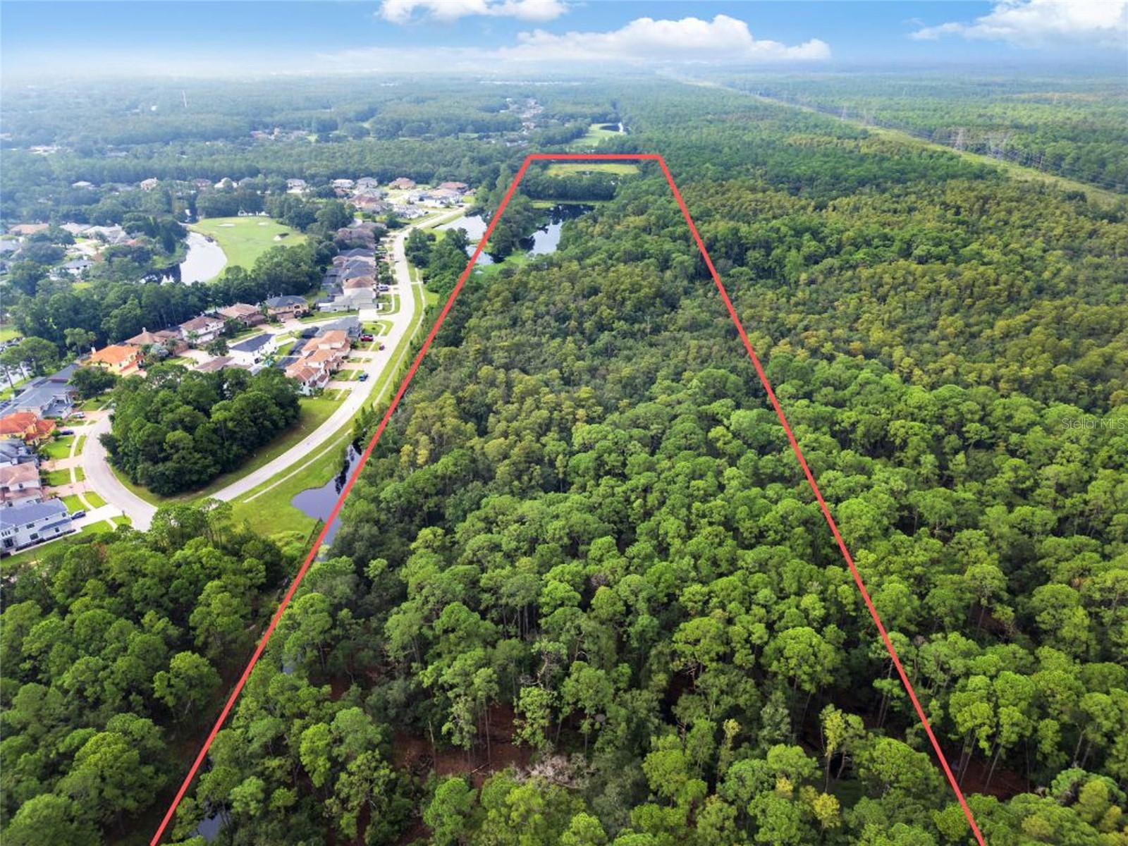 Unplatted Odessa FL 33556 TB8502915 image3