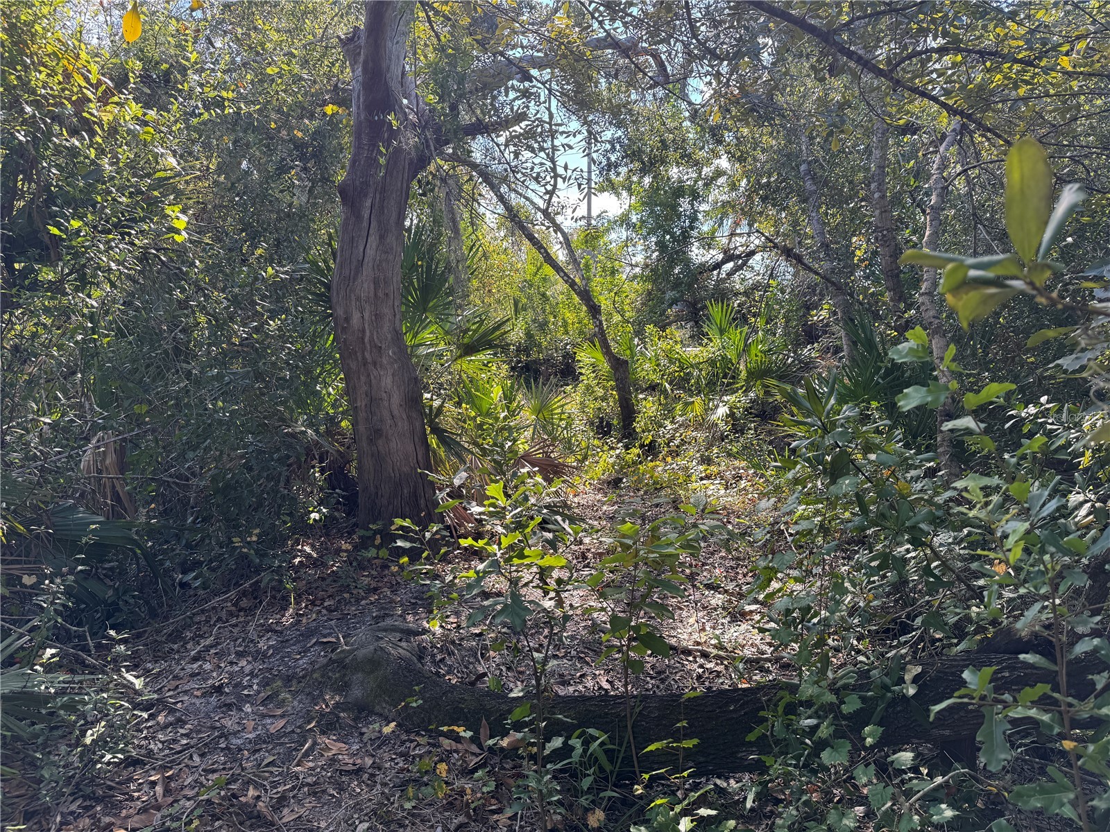 Upper Manatee River Road Bradenton FL 34212 - Mill Creek A4673310 image12
