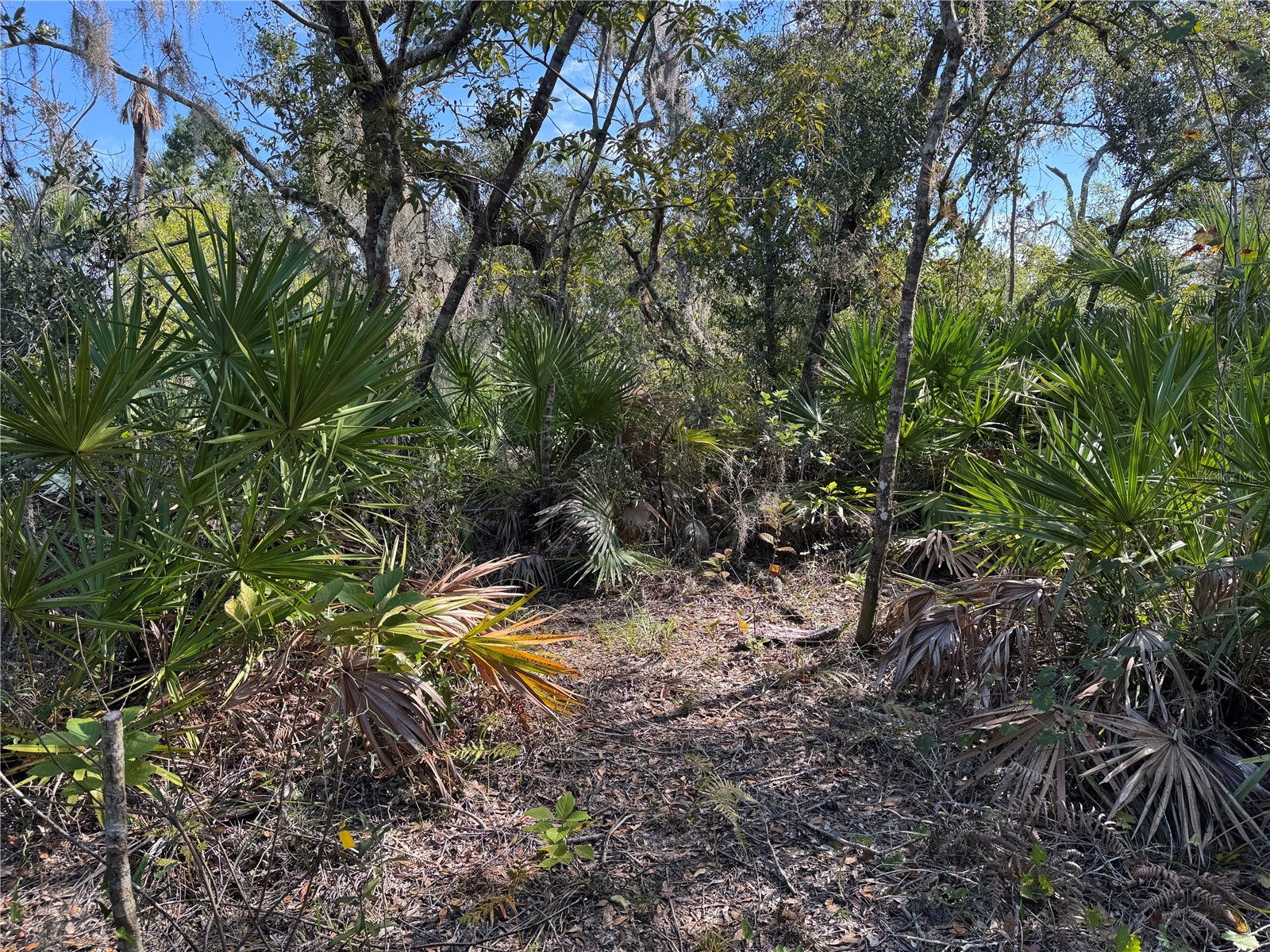 Upper Manatee River Road Bradenton FL 34212 - Mill Creek A4673310 image9