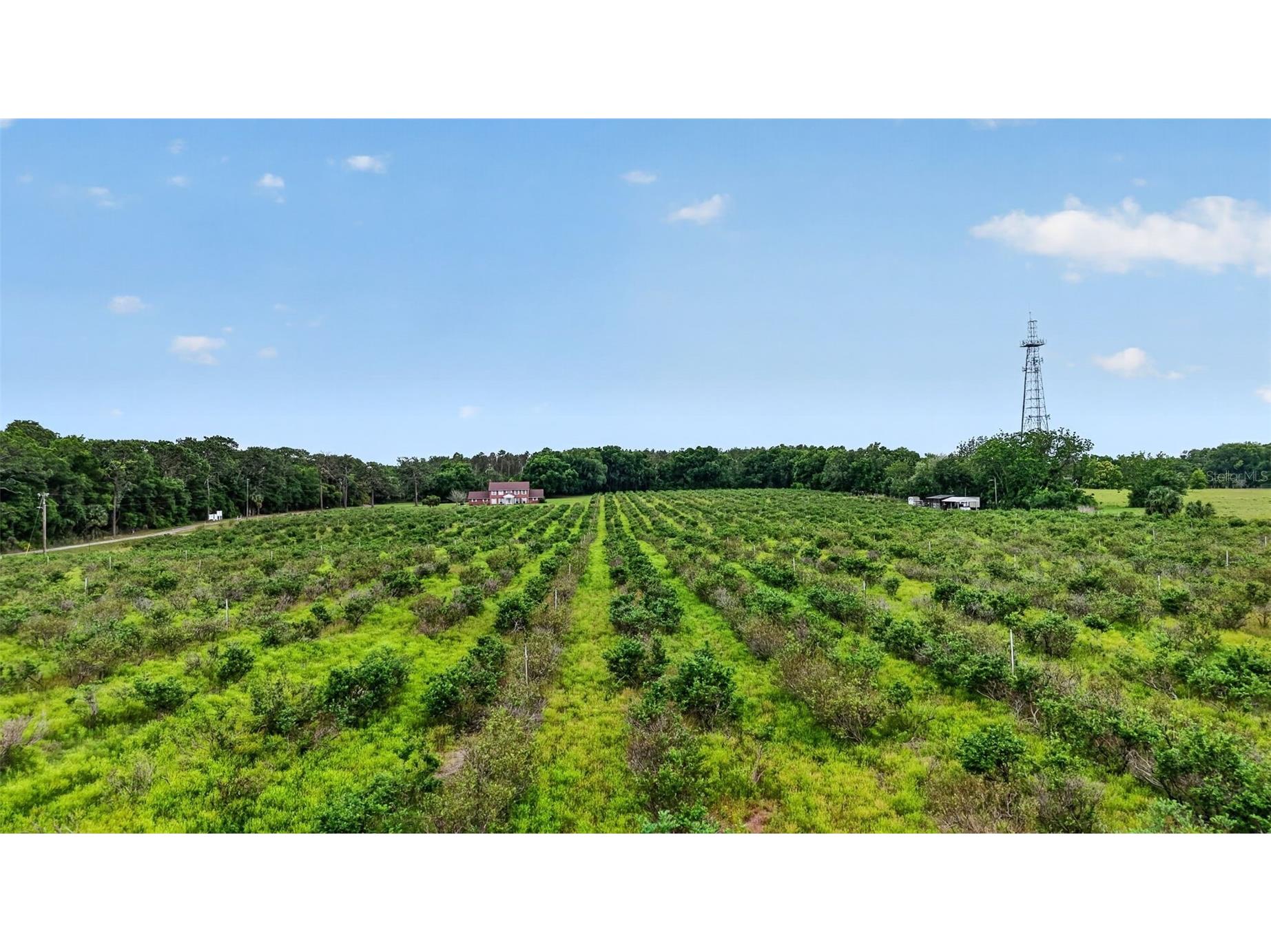 Urick Street Fruitland Park FL 34731 G5110813 image1