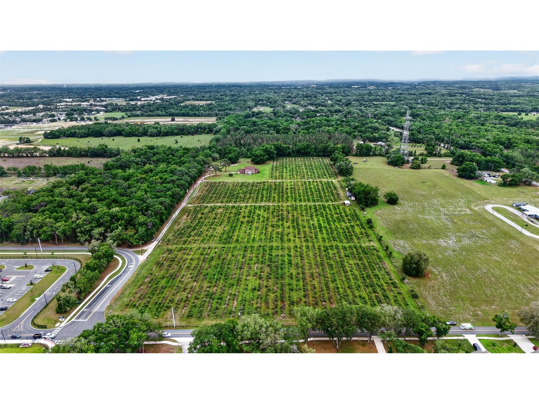 Urick Street Fruitland Park FL 34731 G5110813 image3