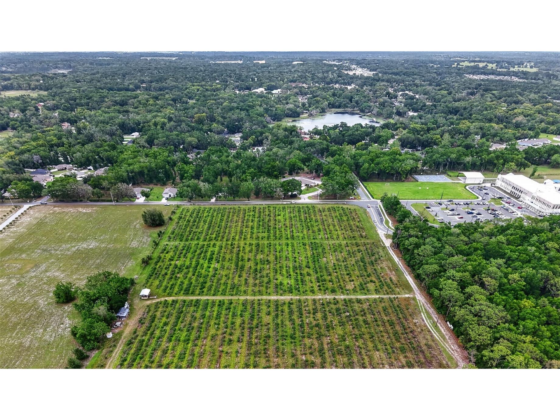 Urick Street Fruitland Park FL 34731 G5110813 image7
