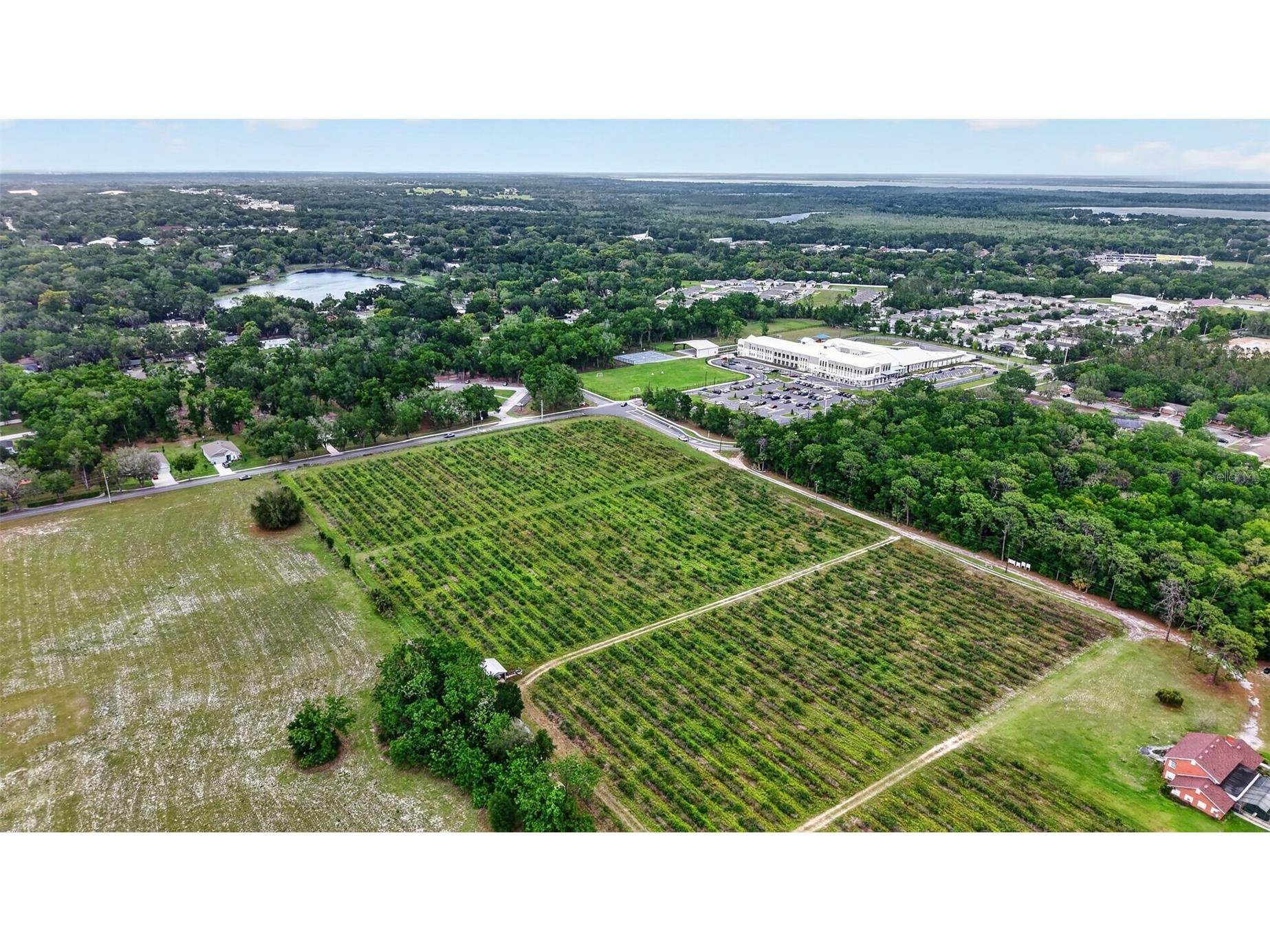 Urick Street Fruitland Park FL 34731 G5110813 image8