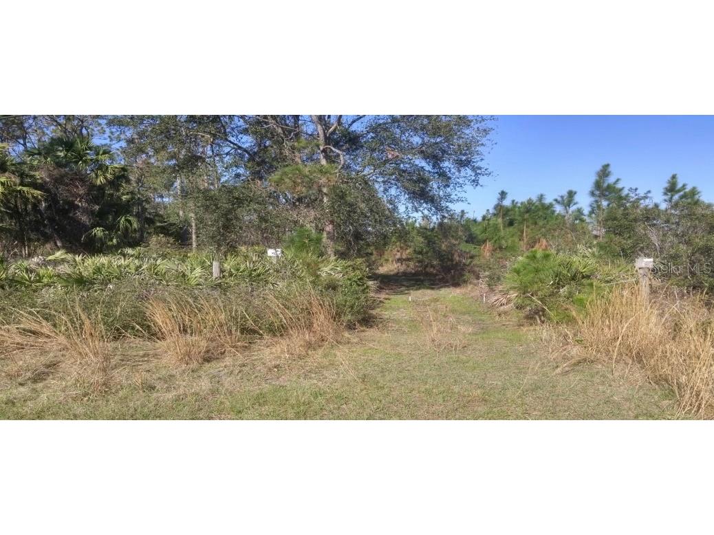 Us 1 North Bunnell FL 32110 V4947246 image4