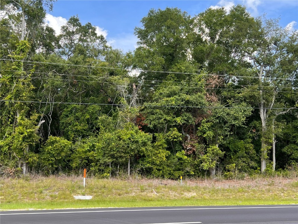 Us 19 Chiefland FL 32626 W7865844 image1