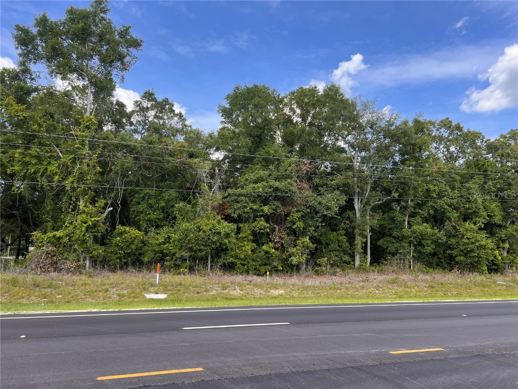 Us 19 Chiefland FL 32626 W7865844 image3