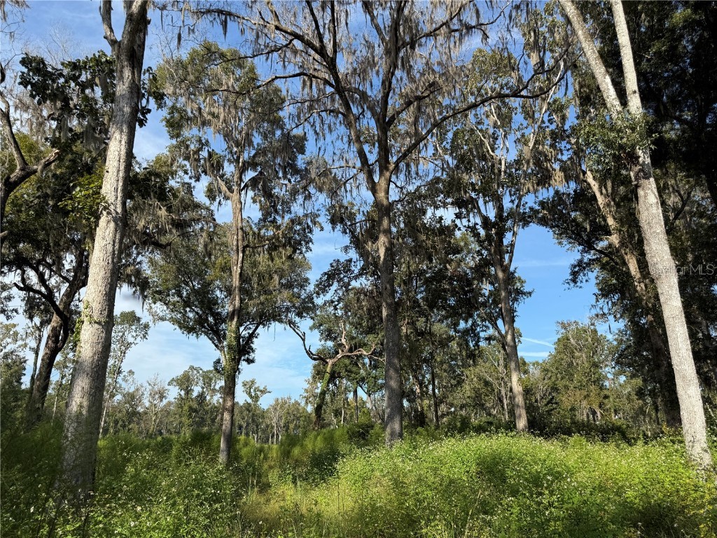 Us 27 N Ocala FL 34482 OM709429 image10