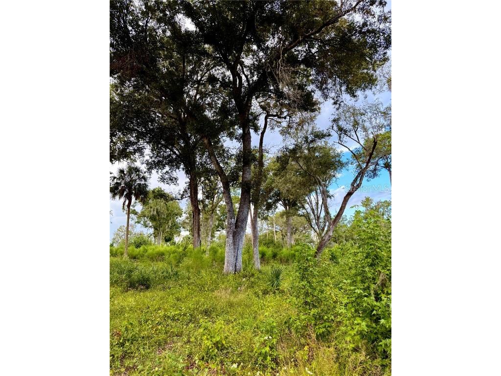 Us 27 N Ocala FL 34482 OM709429 image12