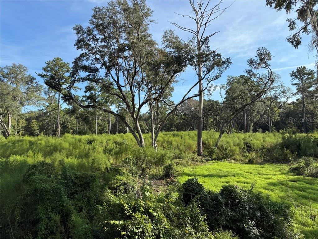 Us 27 N Ocala FL 34482 OM709429 image13