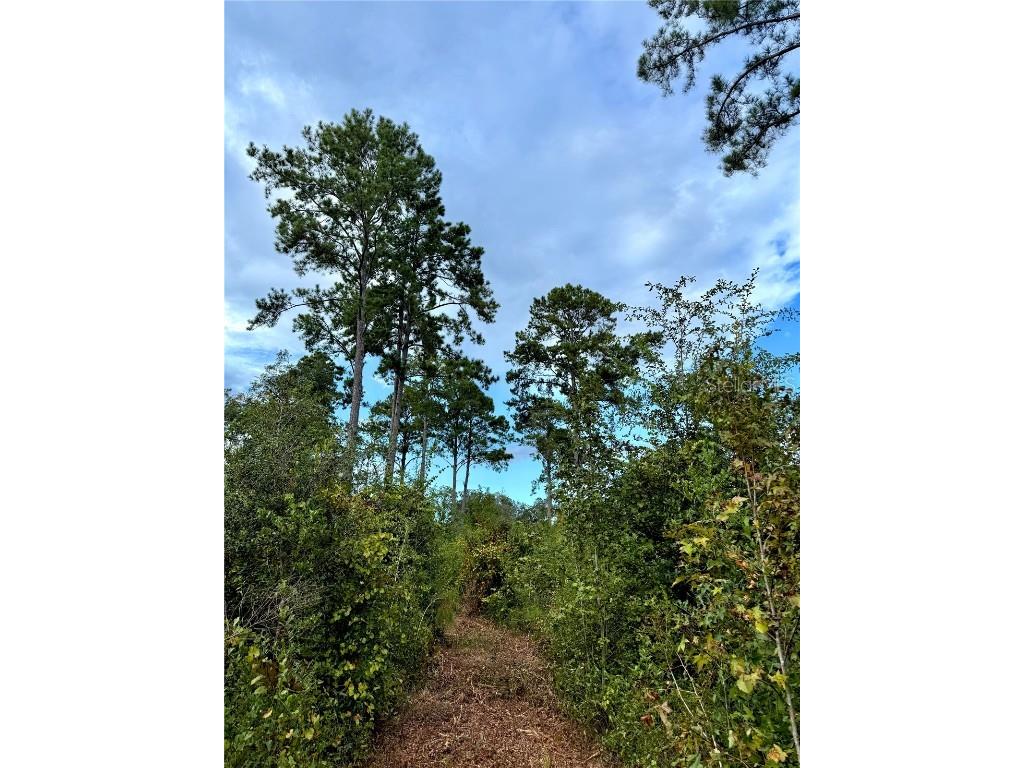 Us 27 N Ocala FL 34482 OM709429 image14