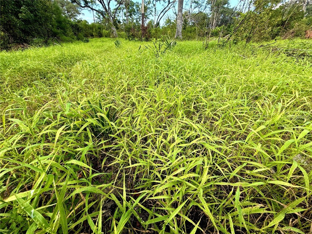 Us 27 N Ocala FL 34482 OM709429 image7