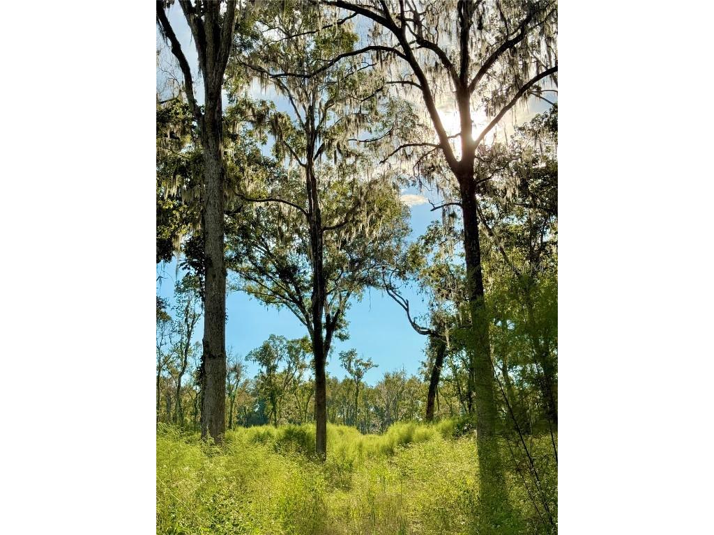 Us 27 N Ocala FL 34482 OM709429 image8