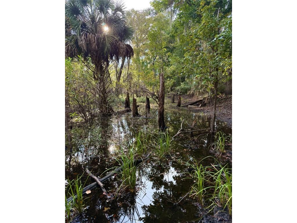 Us 27 N Ocala FL 34482 OM709429 image9