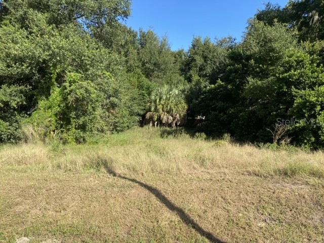 Us-441 Eustis FL 32726 TB8355087 image3