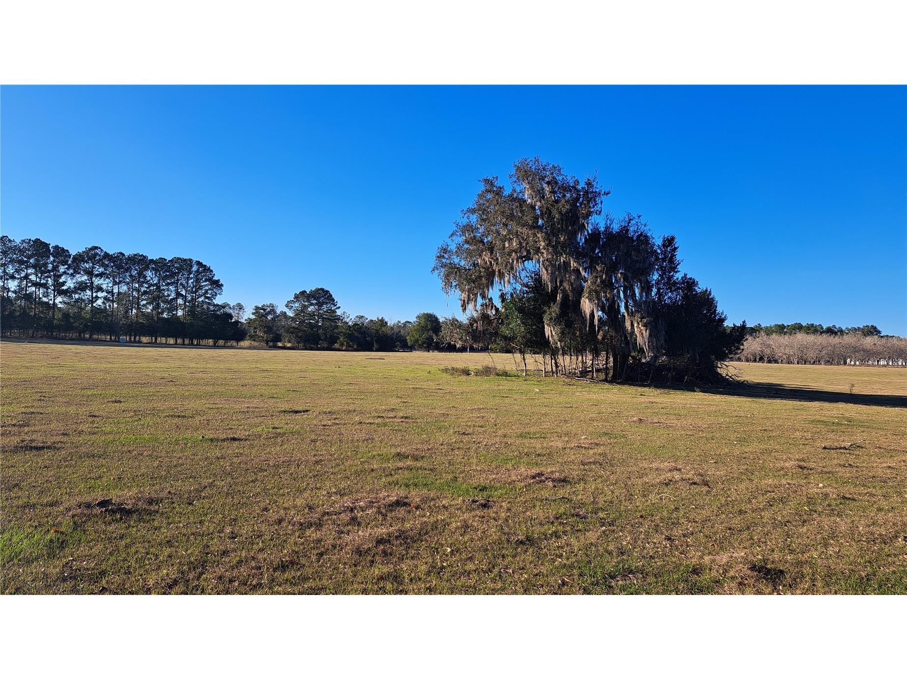 Us-45 Alachua FL 32615 GC536627 image1
