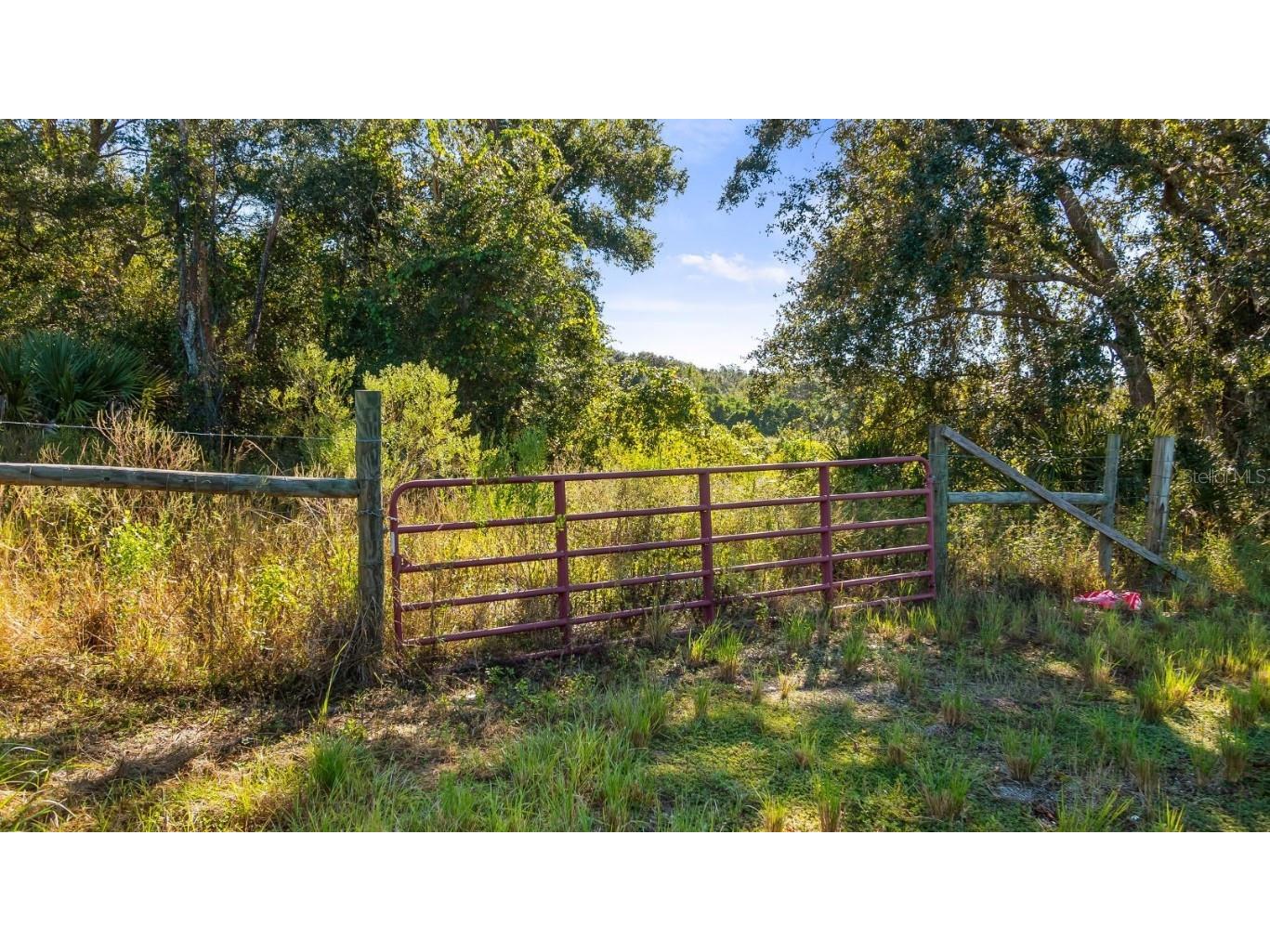 Us Highway 27 Leesburg FL 34748 G5103841 image1