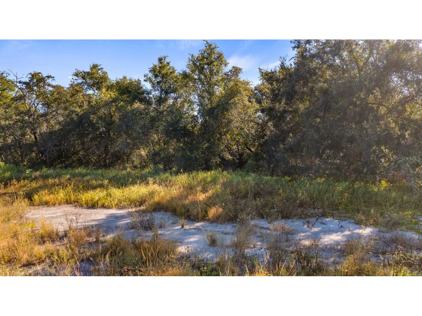 Us Highway 27 Leesburg FL 34748 G5103841 image7