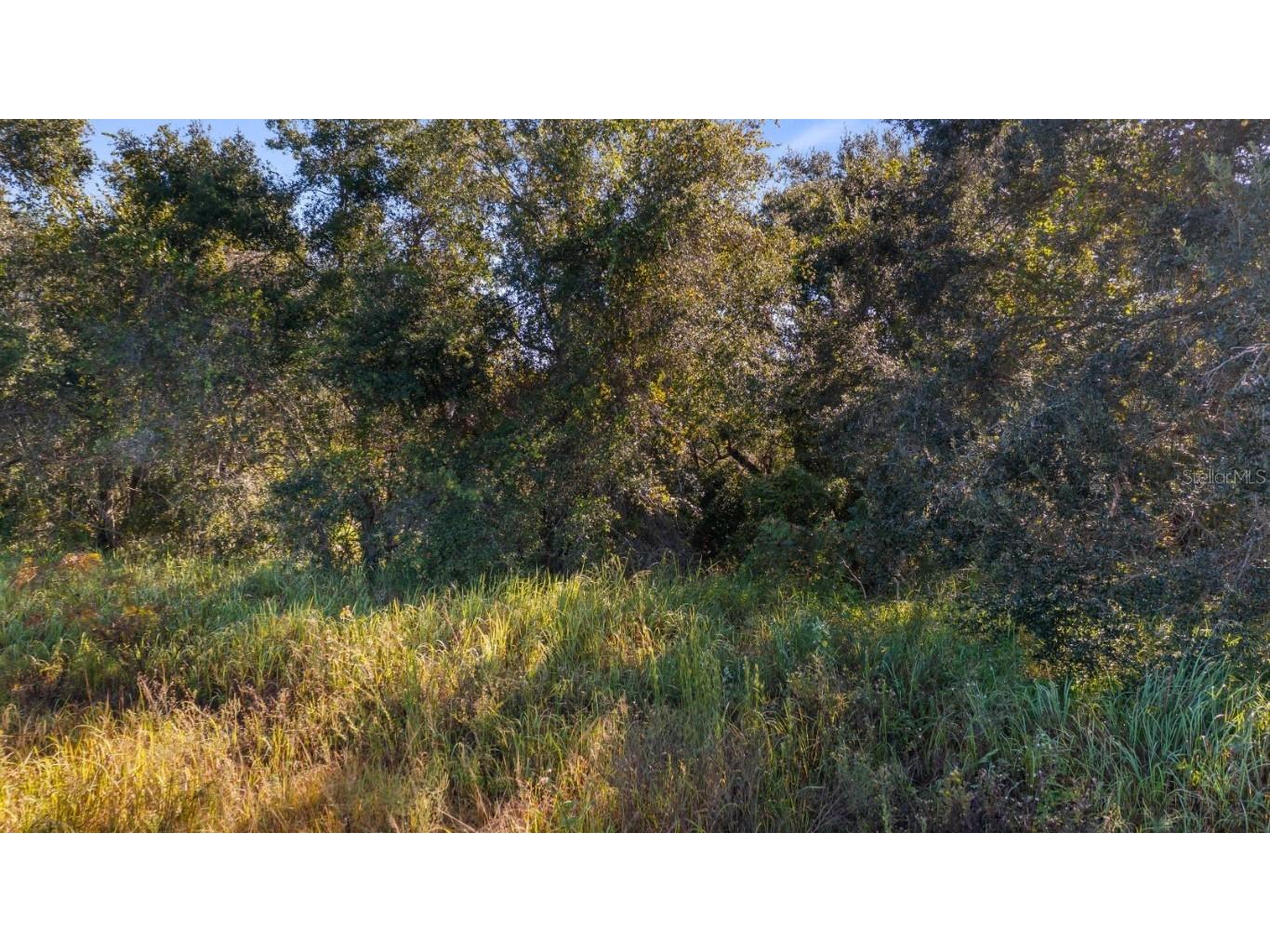 Us Highway 27 Leesburg FL 34748 G5103841 image9