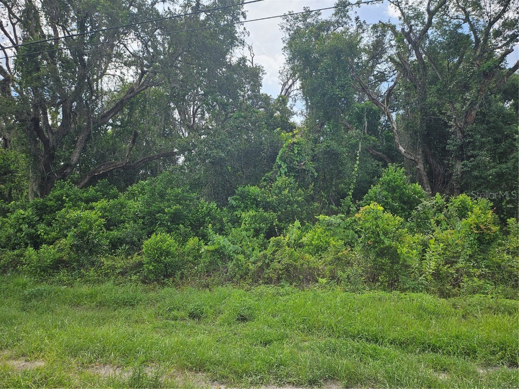 Us Highway 41 Spring Hill FL 34610 TB8413434 image2