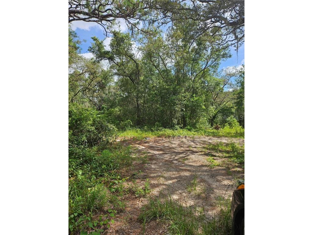 Us Highway 41 Spring Hill FL 34610 TB8413434 image3