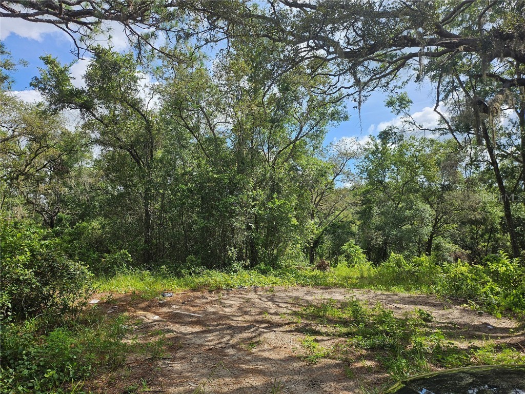 Us Highway 41 Spring Hill FL 34610 TB8413434 image4